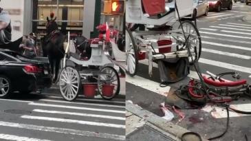 a horse pulling a carriage crashing after a car