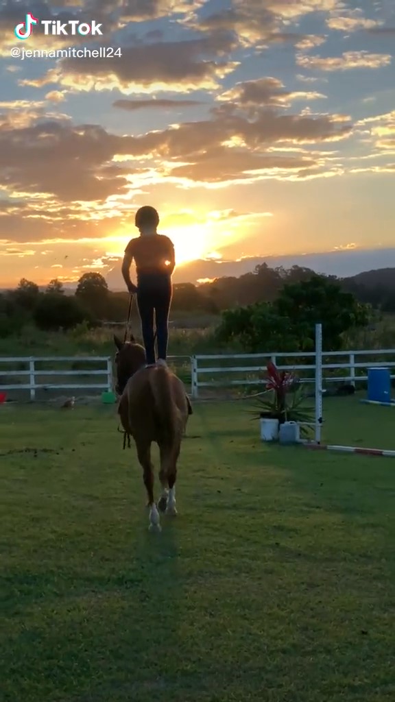 girl, horse and the sunset