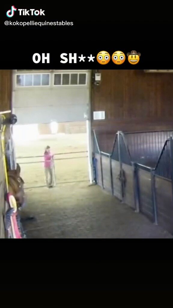 girl opening the stable door
