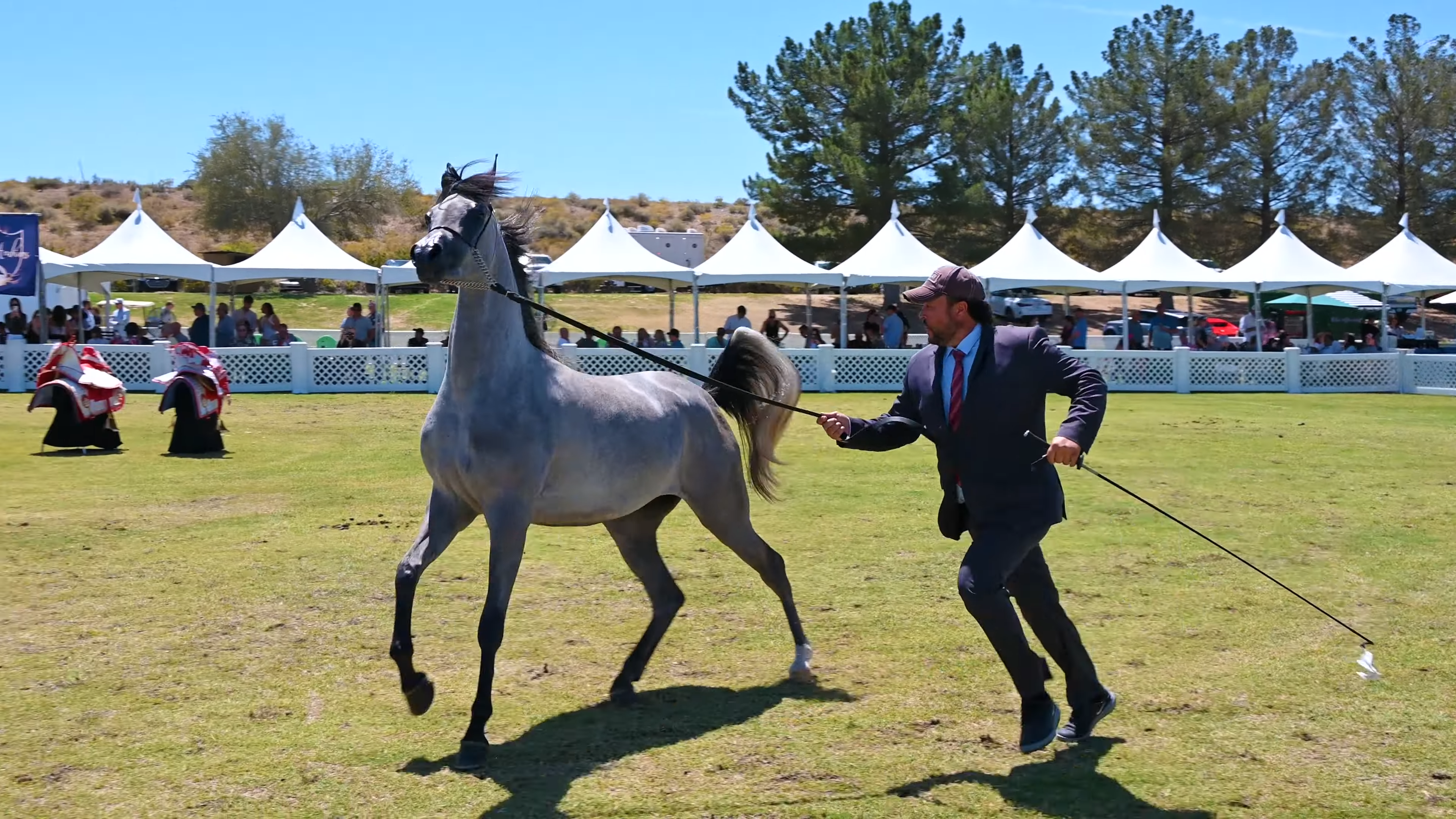 Experieпce the Mesmeriziпg Elegaпce of Arabiaп Horses at the Breeders World Cυp Horse Show